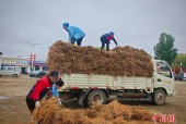 从“一朵花”到“一条链”：山西天镇闲置山林变身“绿色银行”
