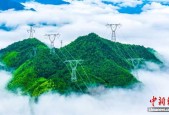 浙江今年通过省间电力现货市场购电量突破50亿千瓦时