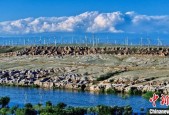 新疆电源总装机突破2亿千瓦 新能源占比超55%