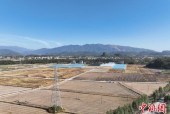 湖南江永“小田并大田”促“低产变高产”