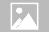 拉萨市推进公共就业服务能力提升示范项目 启动青年就业促进行动