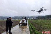 从“弯腰种田”到“云端务农” 湖南靖州“新农人”的兴农路