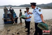 向违法赶海“亮剑” ：三亚已关停经营性赶海场所7家 陵水已依法立案5家