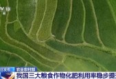 居国际中上水平 去年我国三大粮食作物化肥利用率达43.3%,居国际中上水平 去年我国三大粮食作物化肥利用率达43.3%