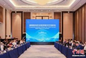 海南举办国际友城与全球自贸港伙伴交流座谈会